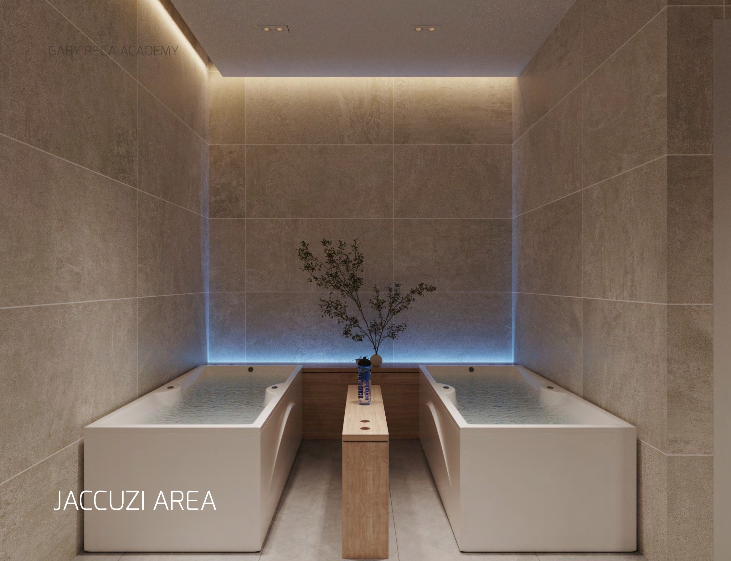 Recovery suite
